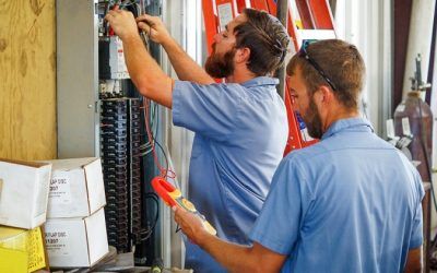 LA IMPORTANCIA DE LOS ENSAYOS E INFORMES ESPECIALIZADOS