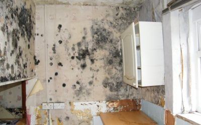 QUE SON Y COMO FUNCIONAN LOS PUENTES TÉRMICOS. Y QUE DICEN LA MAYORÍA DE LOS TRIBUNALES SOBRE ELLOS