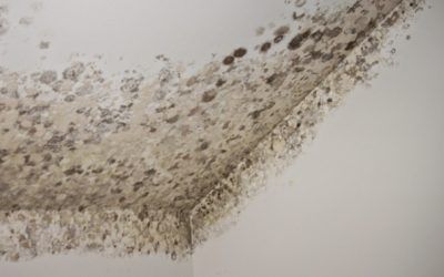 QUE SON PUENTES TÉRMICOS, SEGÚN ALGUNOS PERITOS